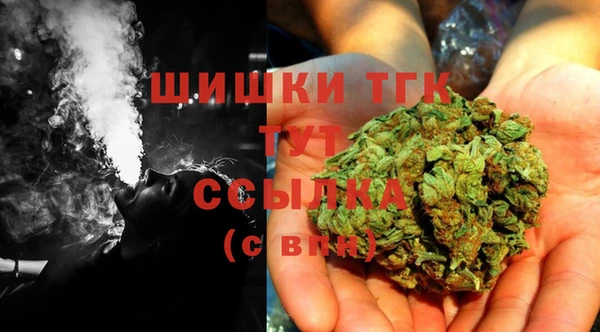 таблы Богородицк