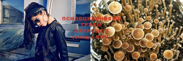 гидропоника Беломорск