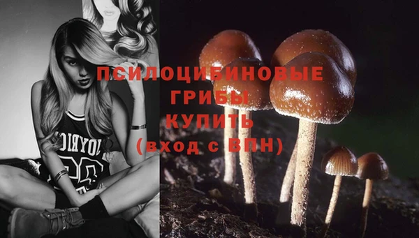 дурь Богданович