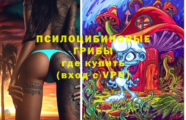 таблы Богородицк