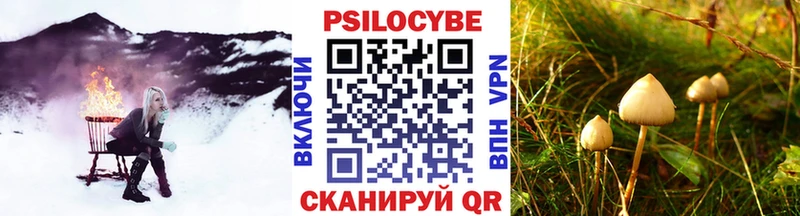 kraken зеркало  Оха  Галлюциногенные грибы Psilocybine cubensis 